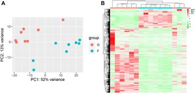 Bioinformatic analysis of the RNA expression patterns in microgravity-induced bone loss